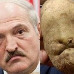 в Білорусі картопля вже по 12 гривень