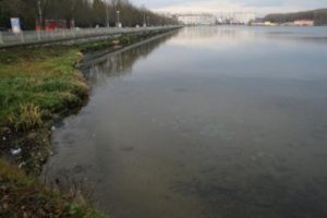 В Тернополі осушують озеро