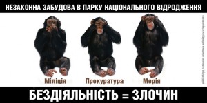 Тернопільські мавпи