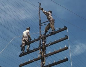 Завтра електрики будуть чистити дроти на Микулинецькій