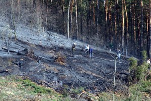 пожежа Кременець ліс