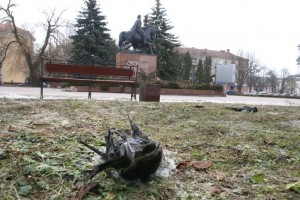 мертва ворона на майдані Волі в Тернополі