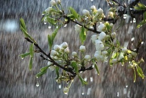 гроза, дощ, злива