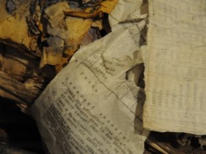 У закинутій будівлі на околиці Теребовлі знайшли архів ОУН